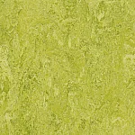Marmoleum Real 2,5 mm 3224 Charteuse